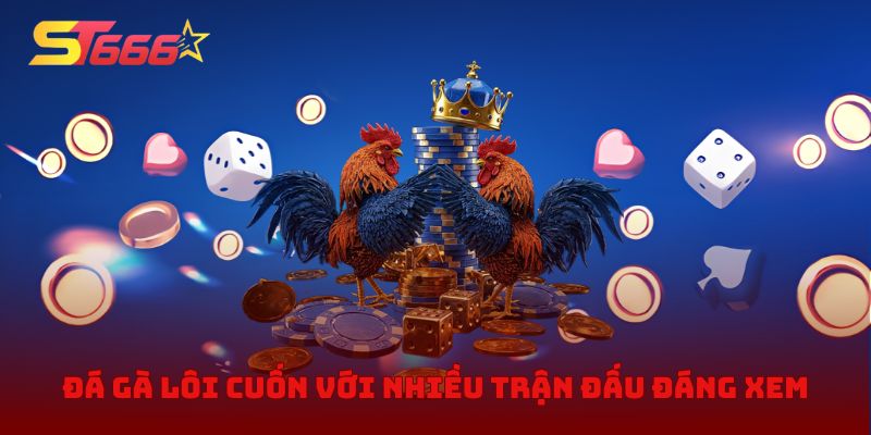 Đá gà lôi cuốn với nhiều trận đấu đáng xem