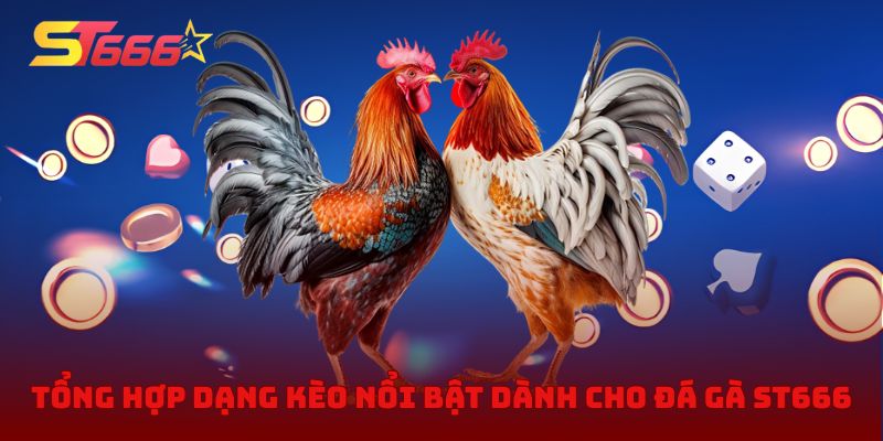 Tổng hợp dạng kèo nổi bật dành cho đá gà ST666