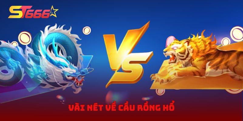 Vài nét về cầu rồng hổ